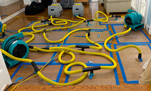 Professional Crawl Space Water Removal technician working in Fairfax, VA